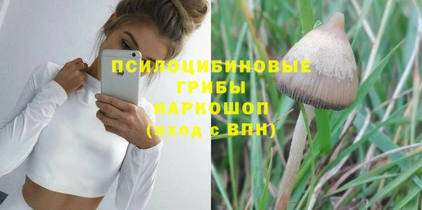 мяу мяу мука Аркадак