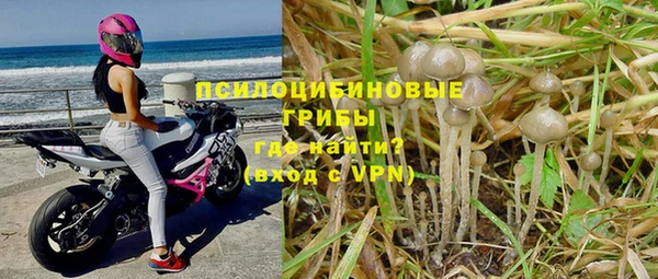 мяу мяу кристалл Армянск