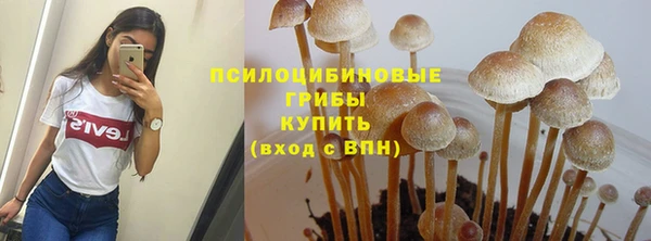 мяу мяу мука Аркадак