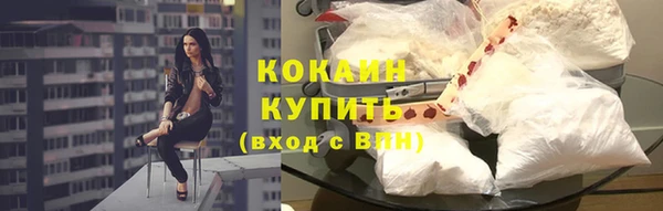 мяу мяу мука Аркадак