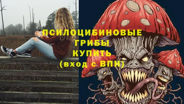 мяу мяу мука Аркадак