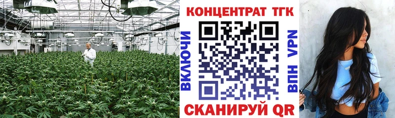 ТГК гашишное масло  darknet клад  Ревда  mega tor 